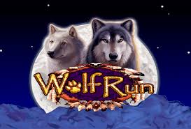 Understanding the Wild and Wolf Run Slot